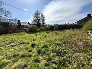 Photo 3- click for photo gallery